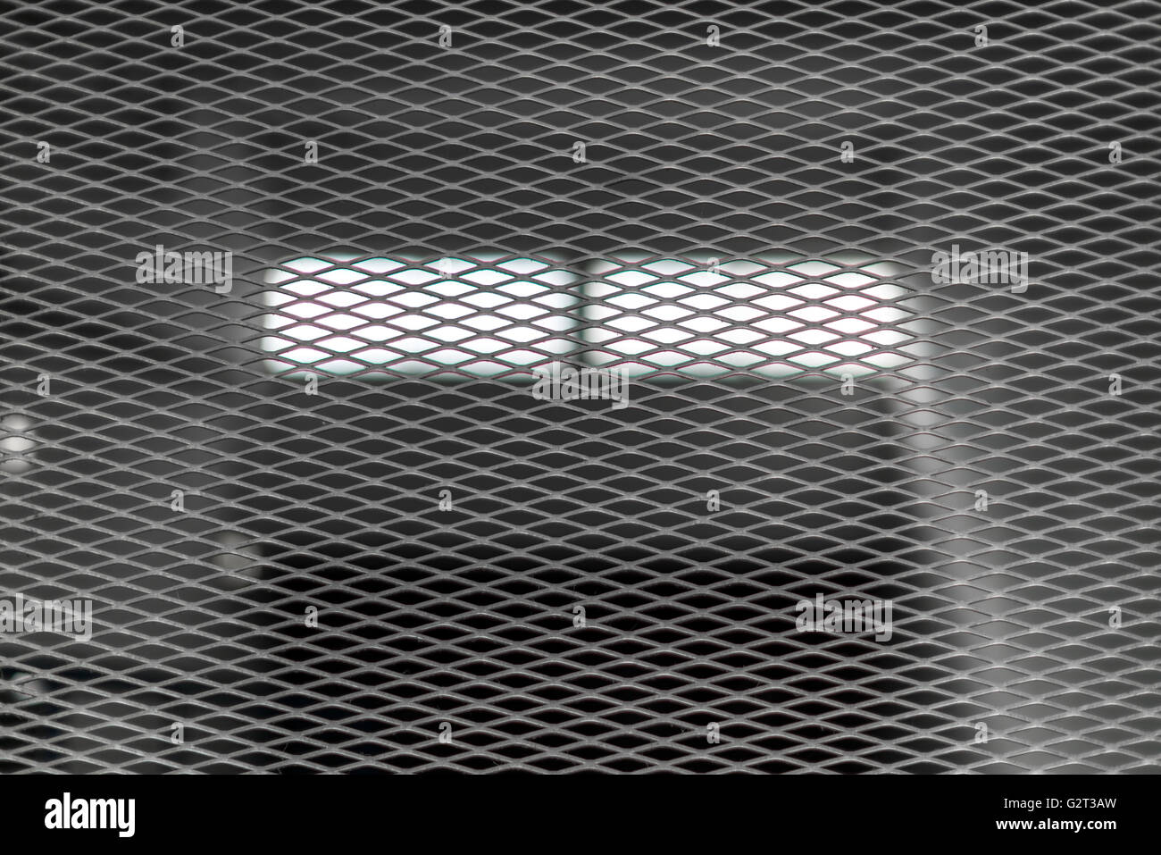 Semi trasparente di maglia di sicurezza griglia davanti a un garage con riflessioni decente. finestra orizzontale in background Foto Stock