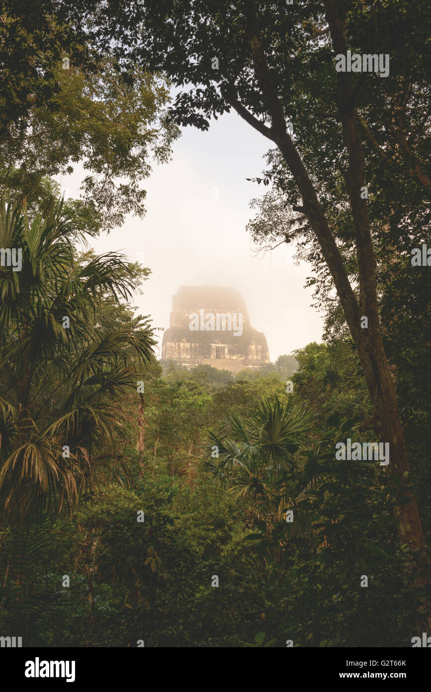 Sunrise a Tikal tempio complesso appena dopo la nebbia di mattina sollevato per rivelare tutte le strutture Foto Stock