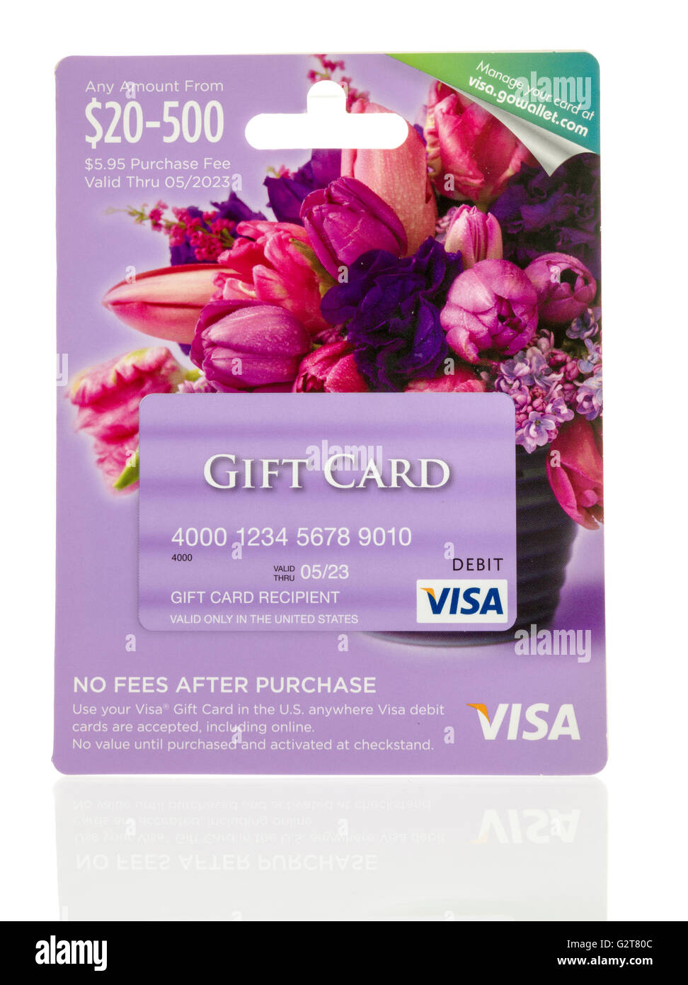 Winneconne, WI - 25 Maggio 2016: regalo Visa Debit Card su un sfondo isolato Foto Stock