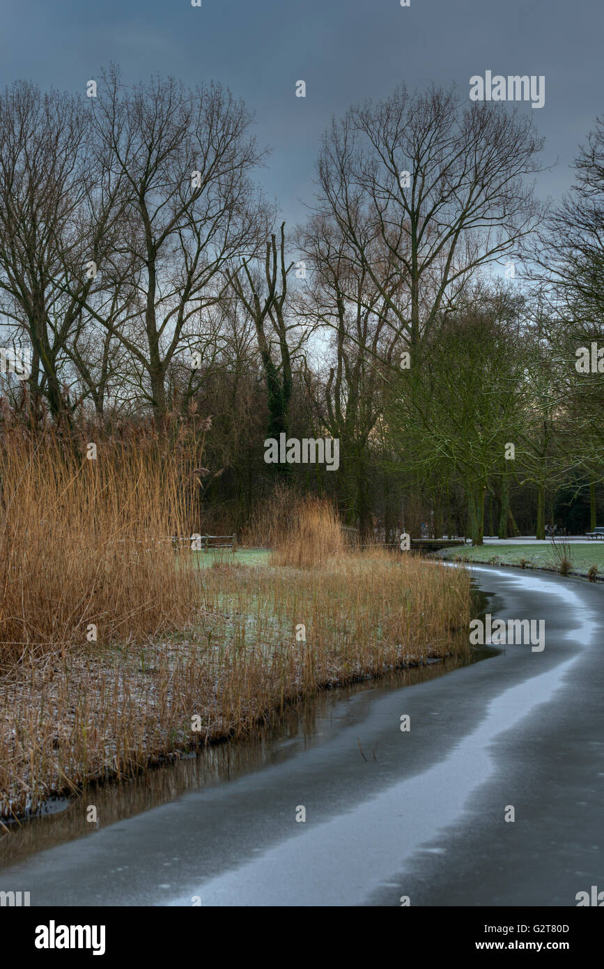Vondelpark in inverno Foto Stock