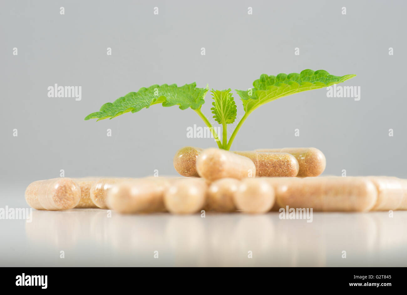 Bio capsule alle erbe e la medicina di erbe pillole di olio Foto Stock