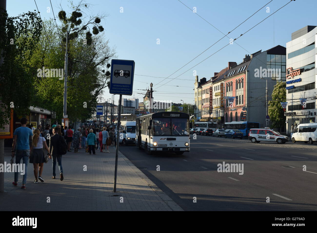 Servizio di autobus urbano nella città di Kaliningrad. Diversi autobus di tipo coda per una sosta nel centro della città Foto Stock