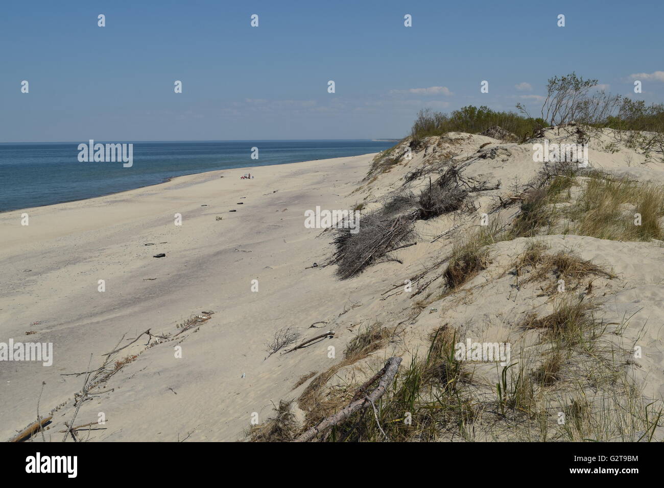 Il Curonian Spit. Il Mar Baltico Dune spiaggia Foto Stock