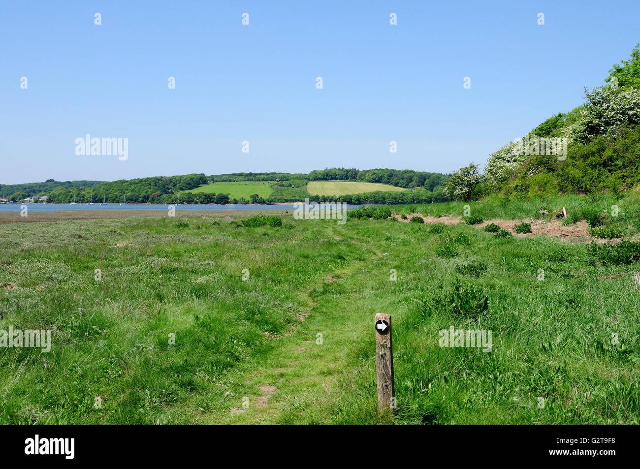 Estuario a piedi a West Williamson Riserva Naturale Pembrokeshire Wales Foto Stock