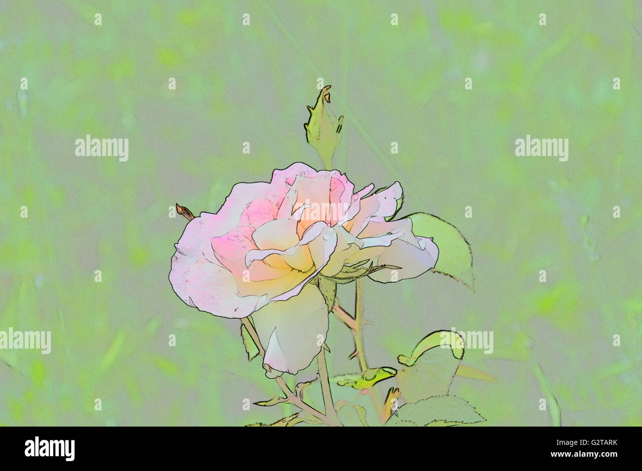 Arte digitale schizzo di colore dei fiori Foto Stock