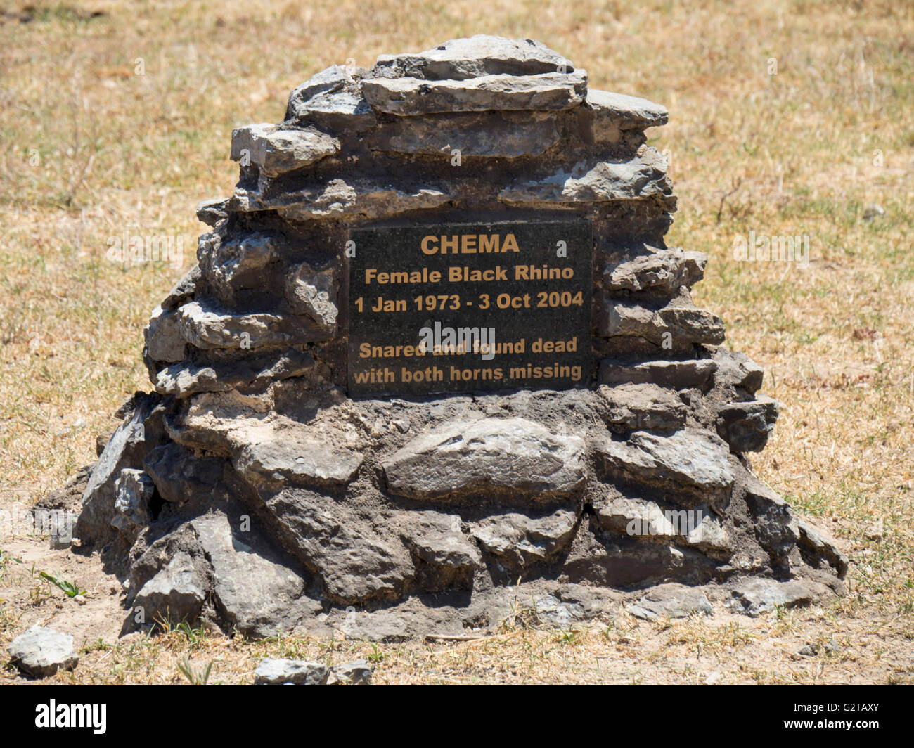 In Africa orientale, Kenya, rhino grave Ol Pejeda Foto Stock