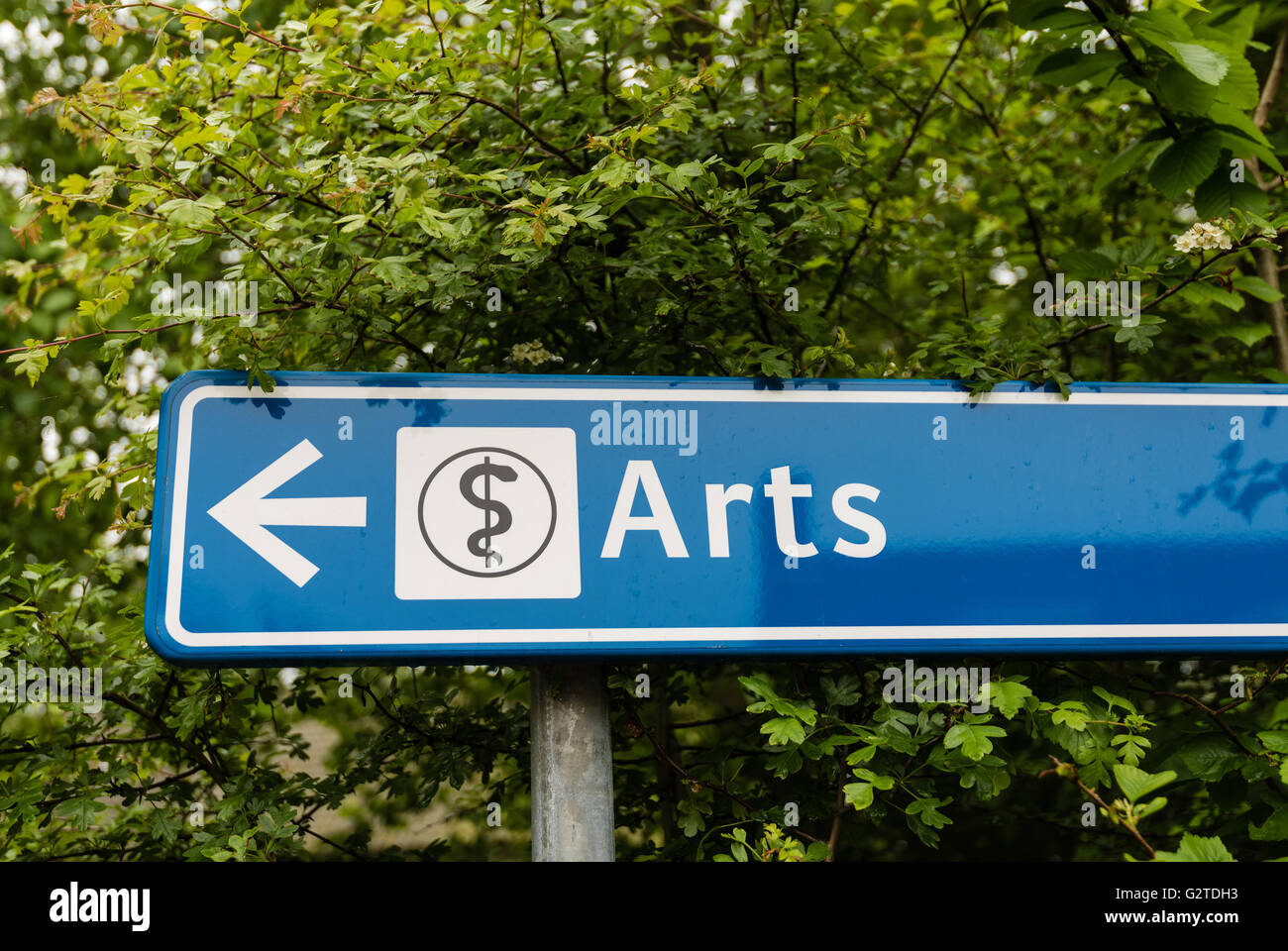 Medicina - arte o scienza Foto Stock
