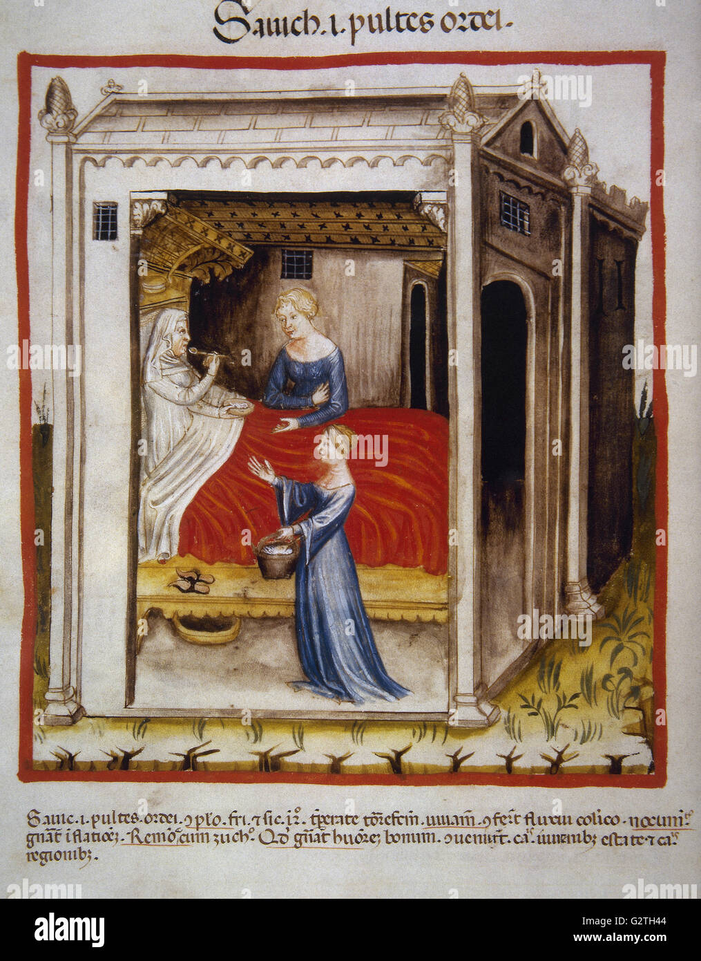 Tacuinum Sanitatis. Il XIV secolo. Manuale medievale di salute. Orzo porridge. Folio 44v. Foto Stock
