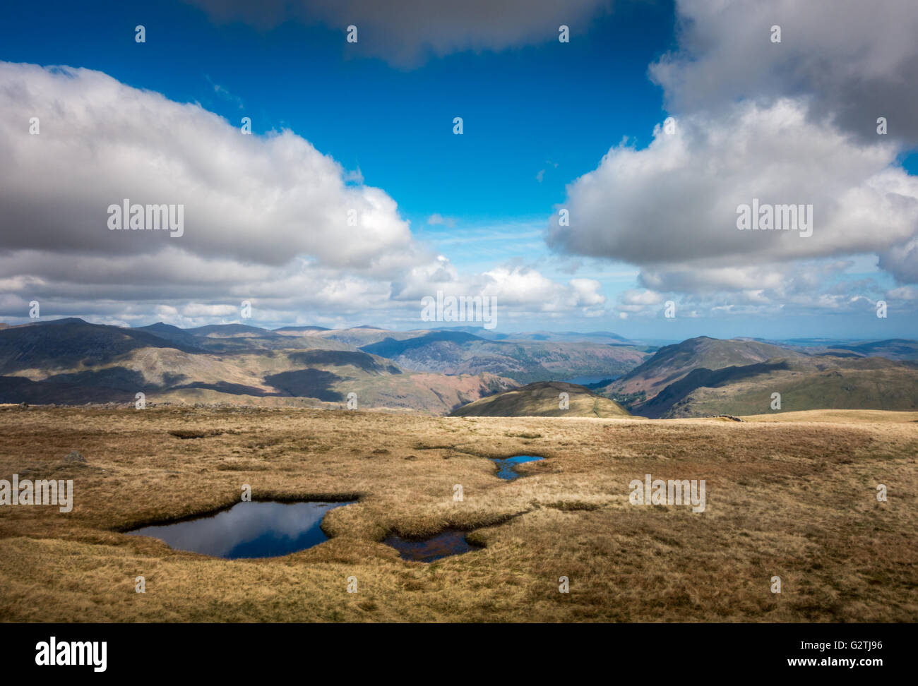 Estate viste da Hartsop Dodd, nel distretto del lago, Cumbria, Regno Unito Foto Stock