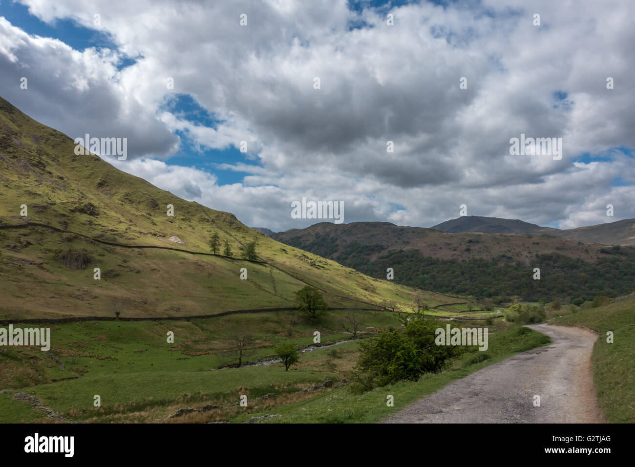 La forte pendenza del lato di Hartsop Dodd - Hartsop, Patterdale, Cumbria, Lake District, REGNO UNITO Foto Stock