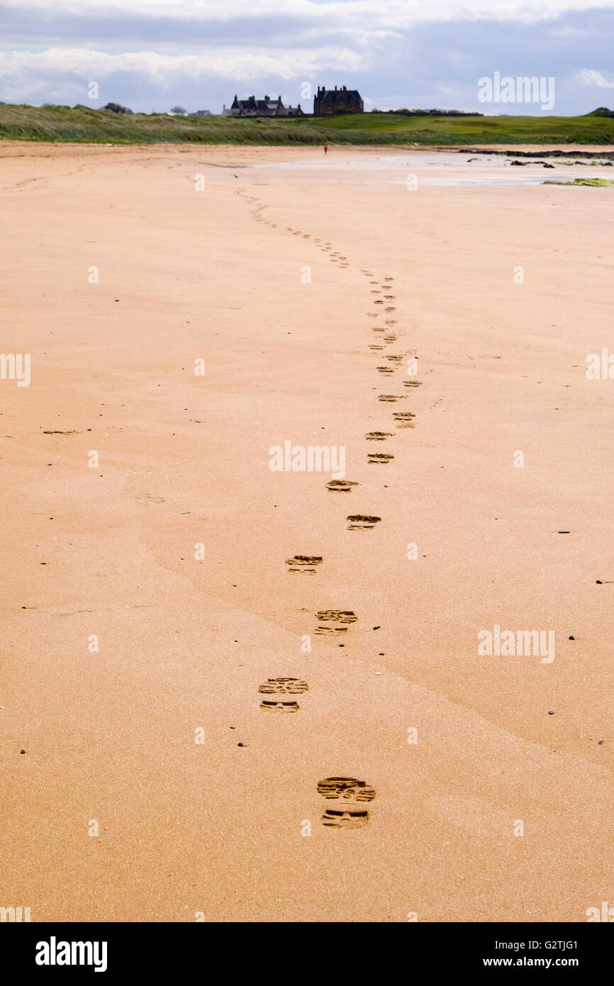 Linea di impronte che portano lontano nella sabbia lungo la Fife Sentiero costiero di bassa marea rotta con walker in distanza. West Beach Elie e Earlsferry Fife Scozia Scotland Foto Stock