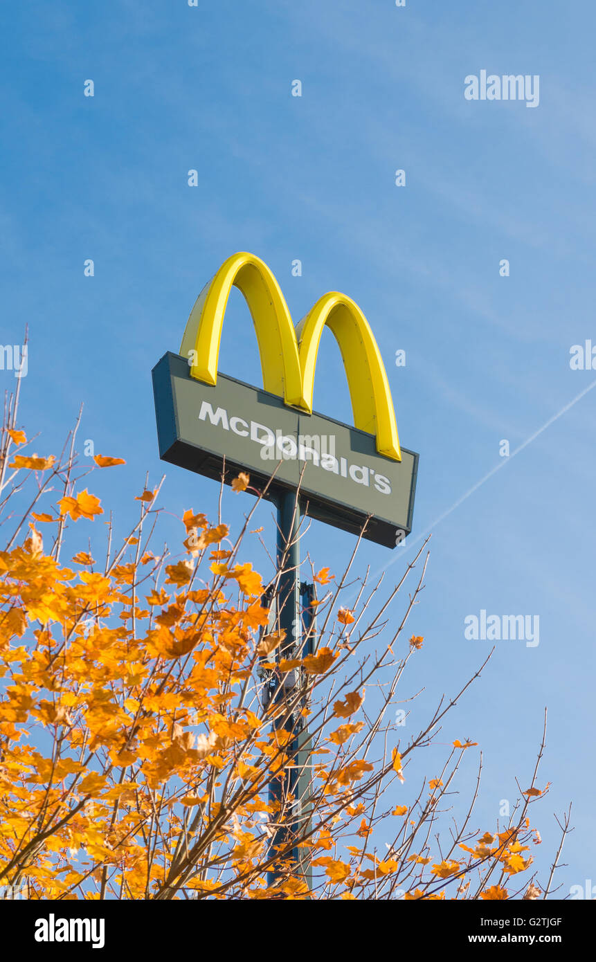 OLDENZAAL, Paesi Bassi - 31 ottobre 2015: Neon McDonalds segno. McDonald's Corporation è la più grande del mondo di catena di hamburger Foto Stock