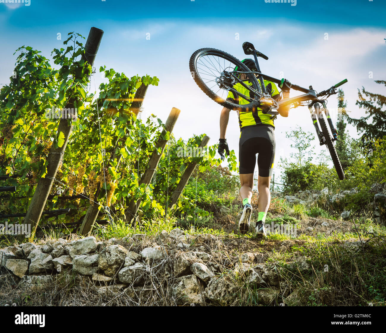 Il ciclista solleva la mountain bike sulle loro spalle per salire un ripido sentiero attraverso i vigneti. Foto Stock