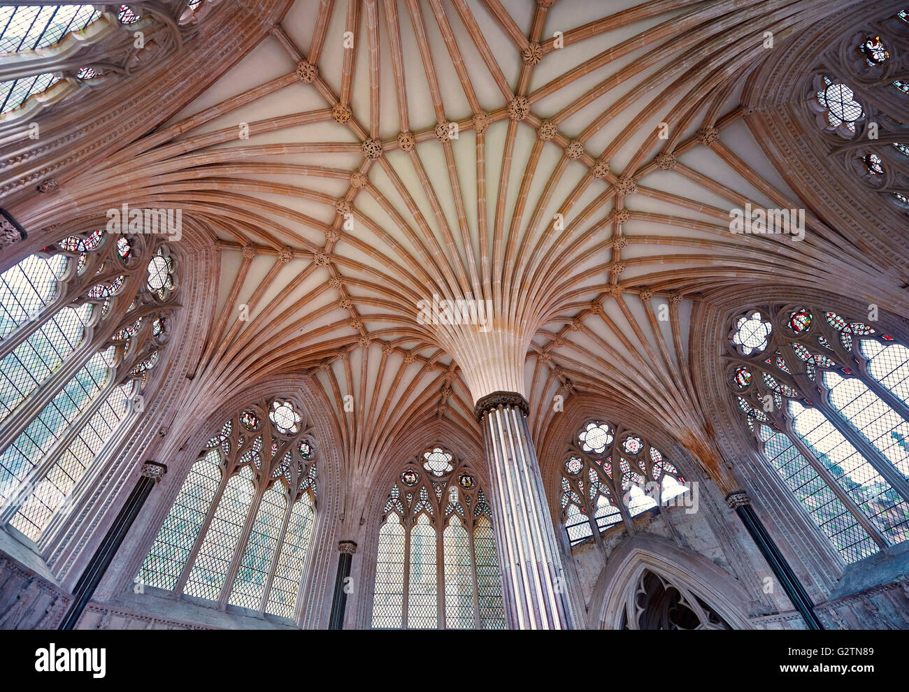 Soffitto a volta del capitolo casa medievale della Cattedrale di Wells, Inglese in stile gotico, pozzi, Somerset, Inghilterra Foto Stock