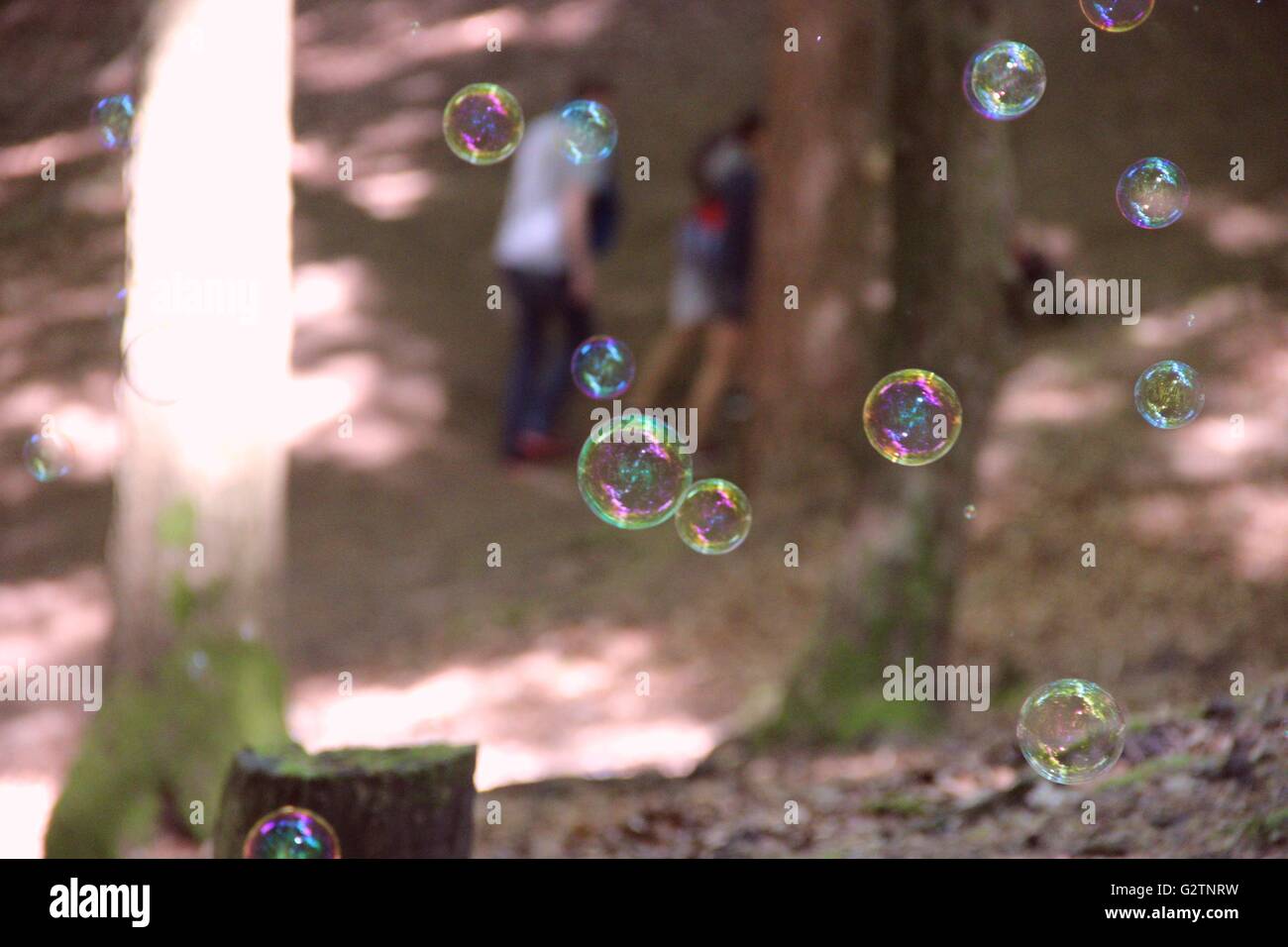 Scoppiare bolle nella foresta Foto Stock