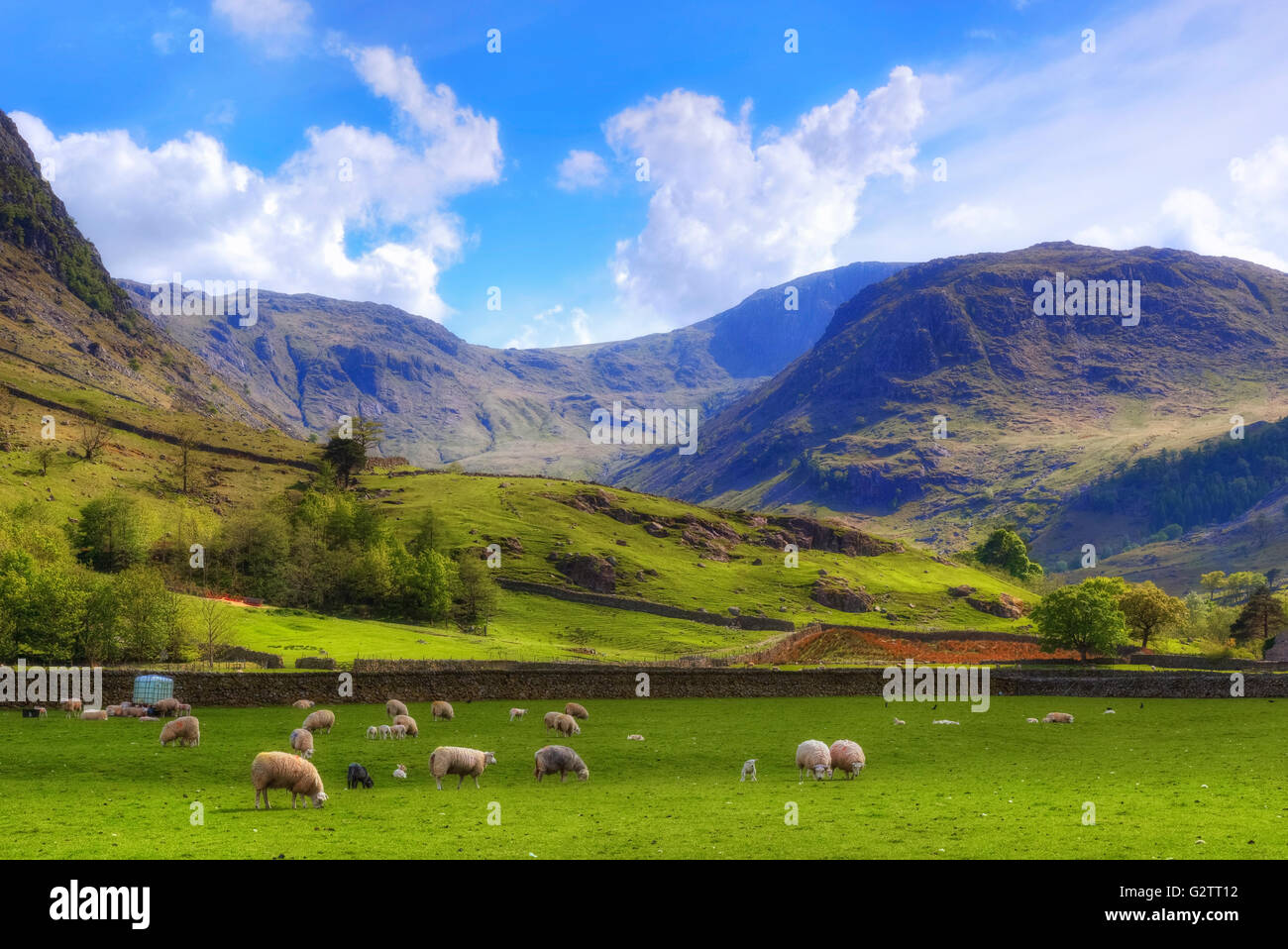 Seathwaite, Lake District, Cumbria, England, Regno Unito Foto Stock