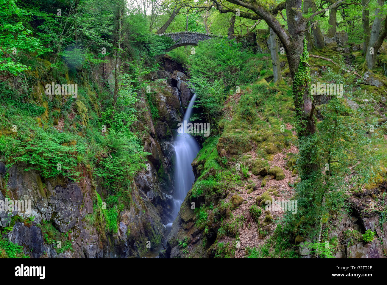 Aira Force, Watermillock, Lake District, Cumbria, England, Regno Unito Foto Stock