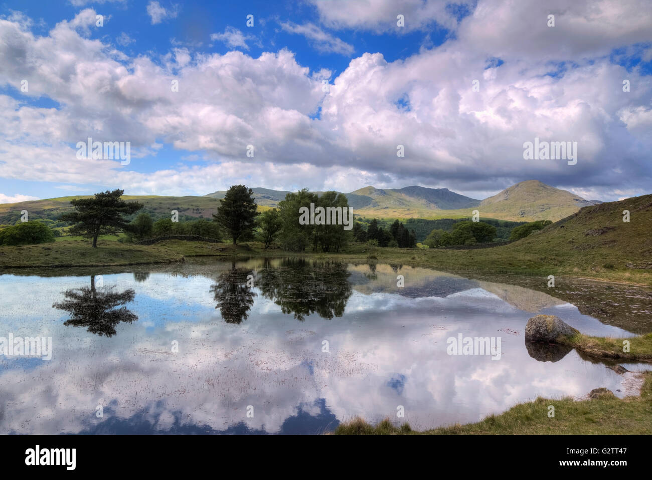 Kelly Hall Tarn, Torver, Lake District, Cumbria, England, Regno Unito Foto Stock