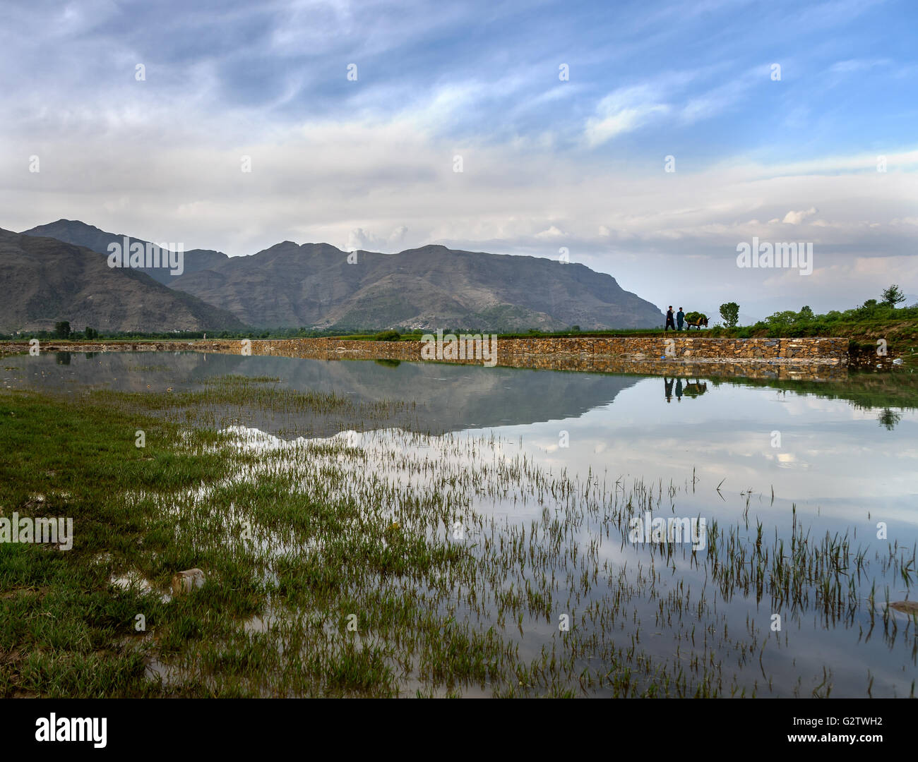 Swat; è una valle fluviale e un distretto amministrativo di Khyber Pakhtunkhwa provincia del Pakistan. Foto Stock