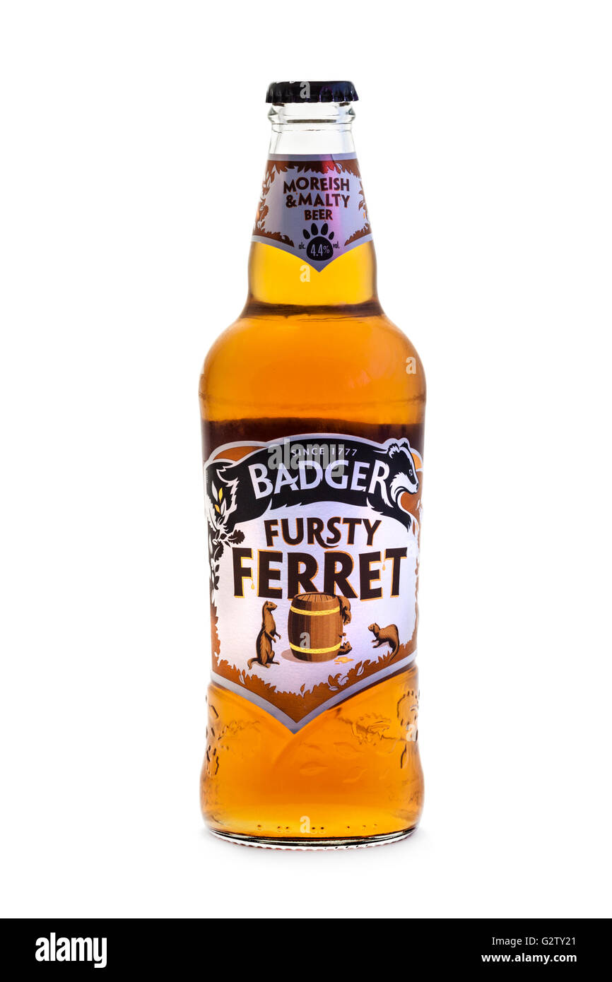 Bottiglia di Fursty Ferret ambra ale inglese dalla Badger Birreria (Hall & Woodhouse), basato in Blandford Santa Maria, Dorset, Inghilterra Foto Stock