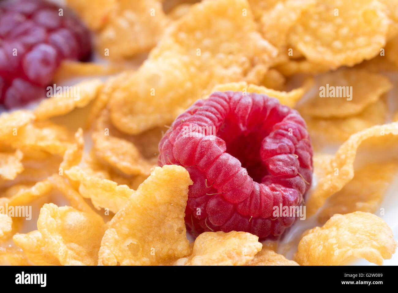 Close up di lamponi freschi e cornflakes. Foto Stock