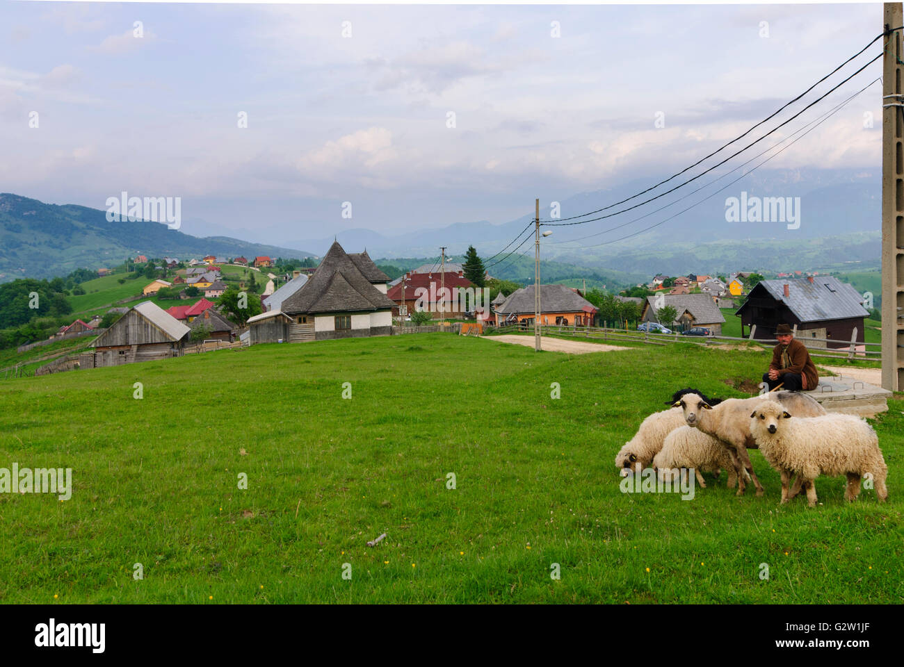 Villaggio nelle montagne dei Carpazi con pecore e pastore, Romania, Transilvania, Transilvania, Siebenbürgen (Transsilvanien) Foto Stock