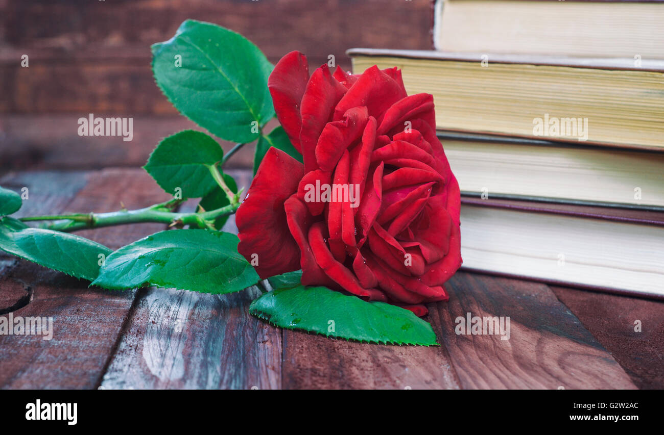 Red Rose su un tavolo in uno sfondo di libri, retrò Foto Stock