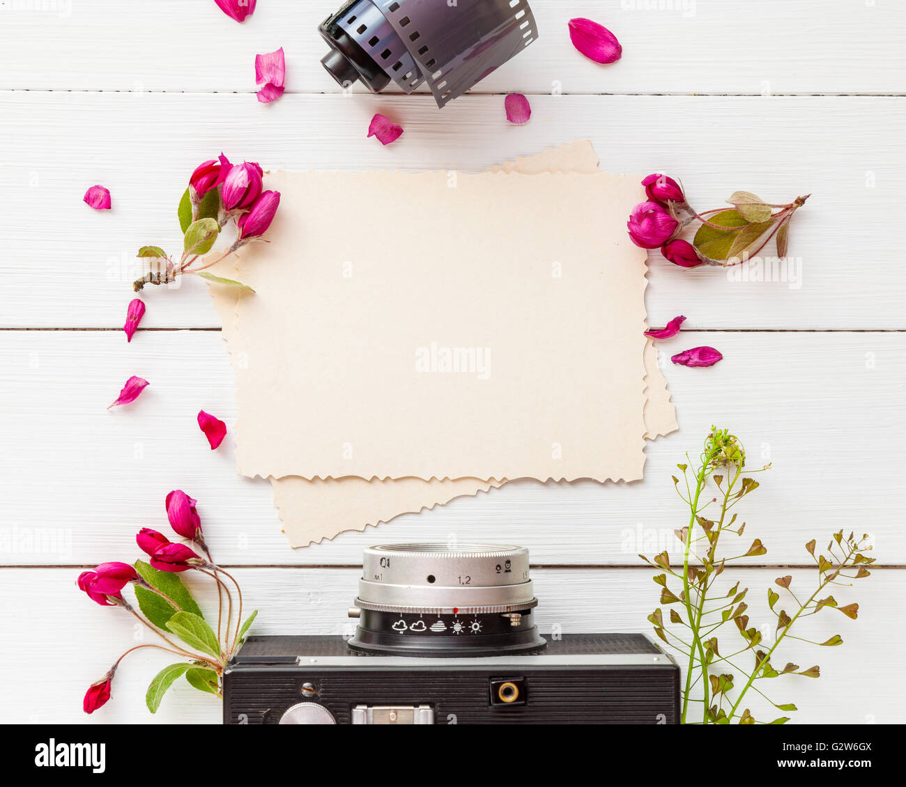 Vecchio vuoto photo frame per l'interno, retrò fotocamera, foto rotoli di pellicola e apple Fiori su fondo bianco. Appartamento laico, vista dall'alto. Foto Stock