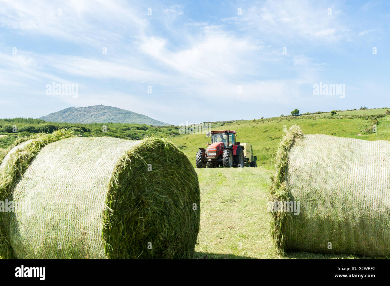 Ballydehob, Irlanda. Il 3 giugno 2016. Su un bel giorno di giugno, un agricoltore irlandese bails silaggio pronto per il confezionamento. I tiranti verranno utilizzati come mangimi per animali durante i mesi invernali. Credito: Andy Gibson/Alamy Live News. Foto Stock