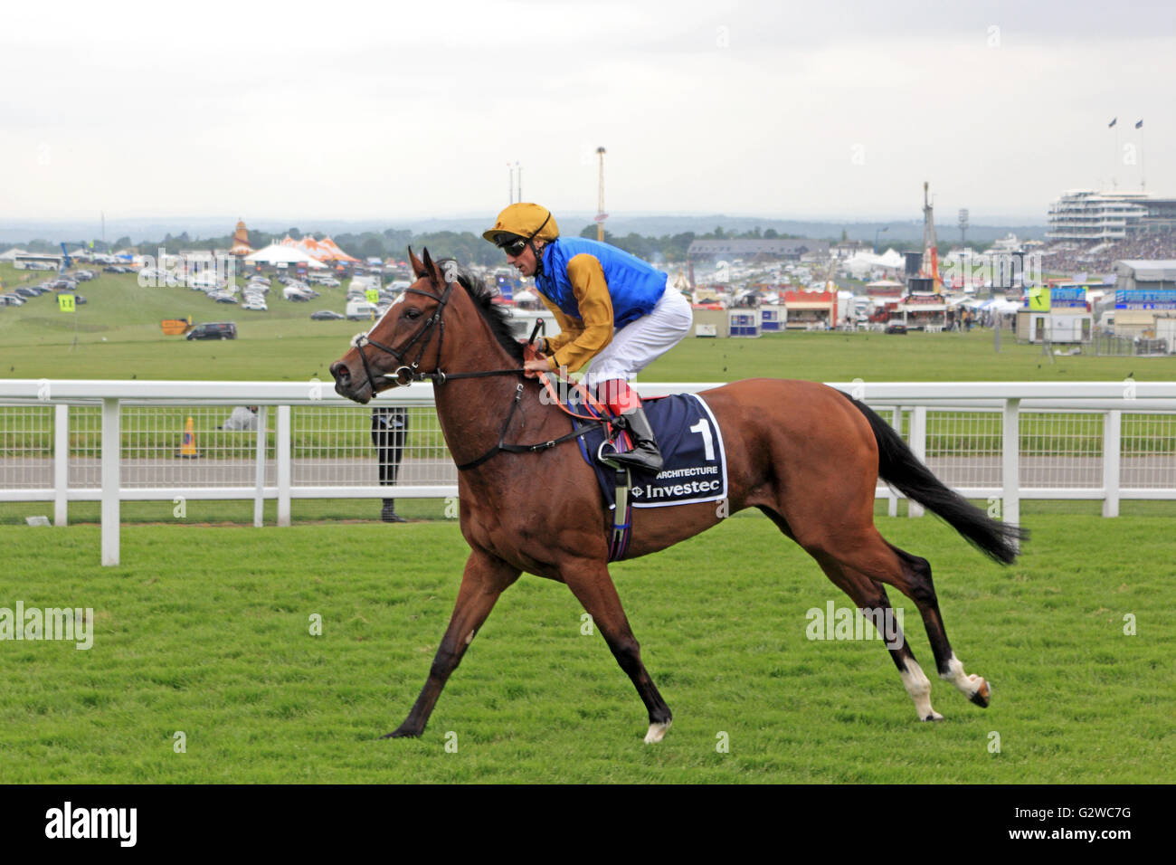 Epsom Downs, Surrey, Inghilterra, Regno Unito. Il 3 giugno 2016. Onorevoli giorno presso la Epsom Downs Race Course, dove la Investec Oaks è la gara principale della giornata. Qui Frankie Dettori rides n. 1 Architettura attorno Tattenham angolo verso la partenza della gara, infine la finitura secondo dopo aver guidato per gran parte della porta dritto a casa. Credito: Julia Gavin UK/Alamy Live News Foto Stock