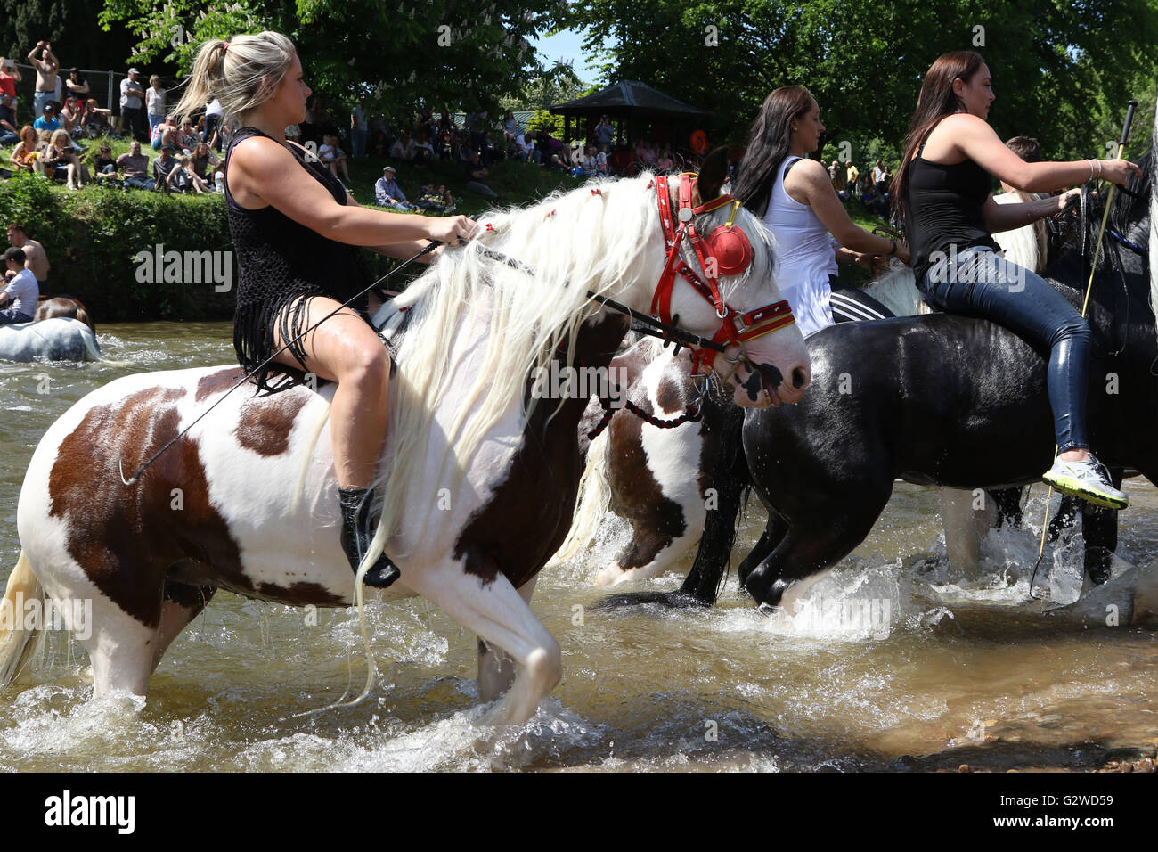 Appleby-in-Westmoreland, Cumbria Inghilterra - Giugno 03, 2016: cavalli essendo lavato nel fiume Eden prima di trading durante la Appleby Horse Fair, un incontro annuale di zingari e nomadi che si svolge nella prima settimana di giugno. Appleby Fair è unico in Europa e attrae circa 10.000 gli zingari e i girovaghi e fino a 30.000 visitatori. Credito: AC Immagini/Alamy Live News Foto Stock