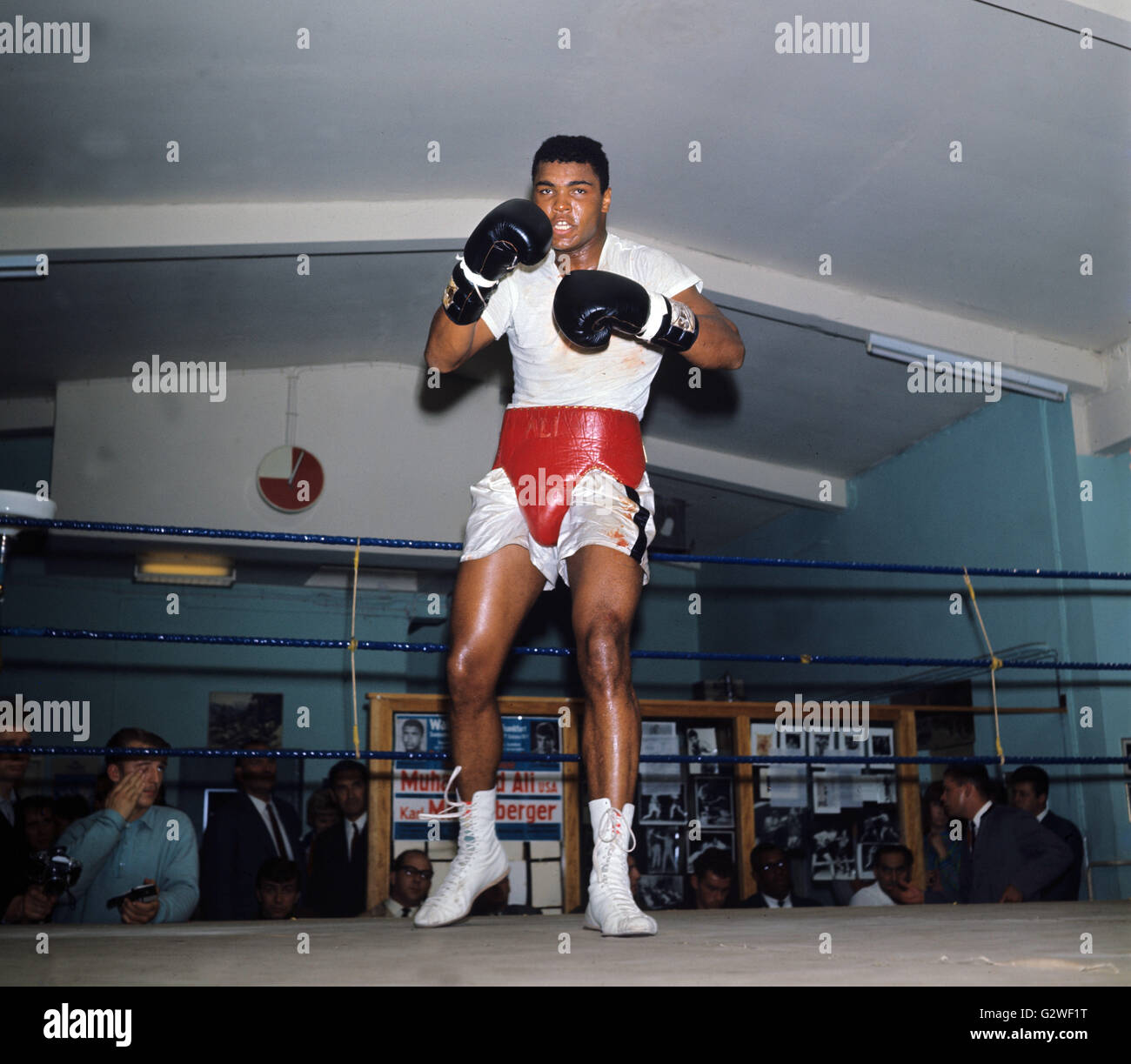 Noi American heavyweight boxer e il Campione del Mondo in carica Muhammad Ali di treni per il suo bout contro il Campione Europeo Mildenberger a Francoforte, settembre 1966. | Utilizzo di tutto il mondo Foto Stock