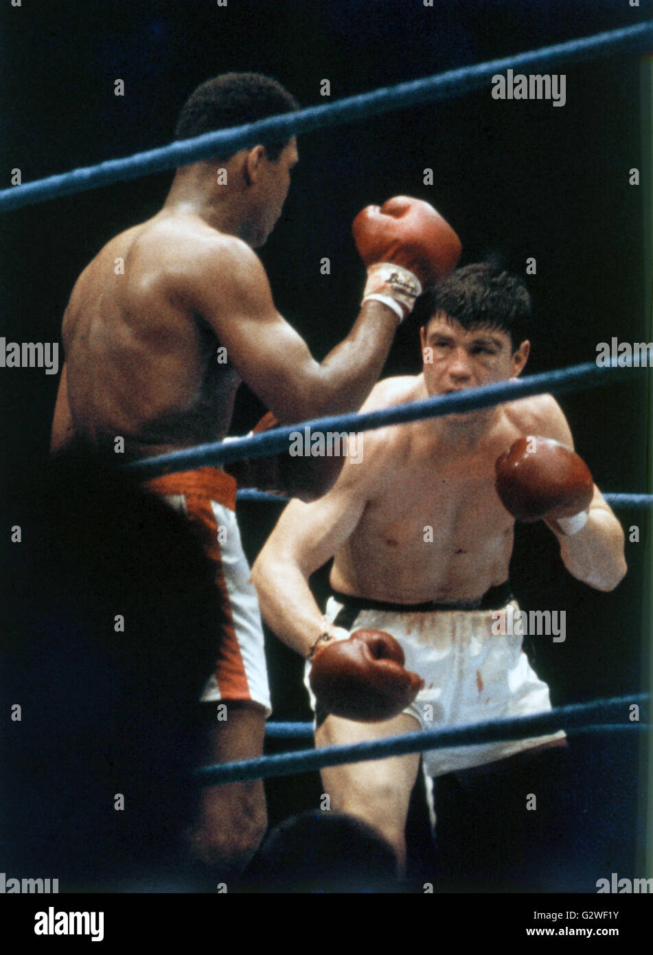 Una scena del pugilato-lotta tra Karl Mildenberger (R) e Muhammad Ali di Francoforte, il 10 settembre 1966. | Utilizzo di tutto il mondo Foto Stock
