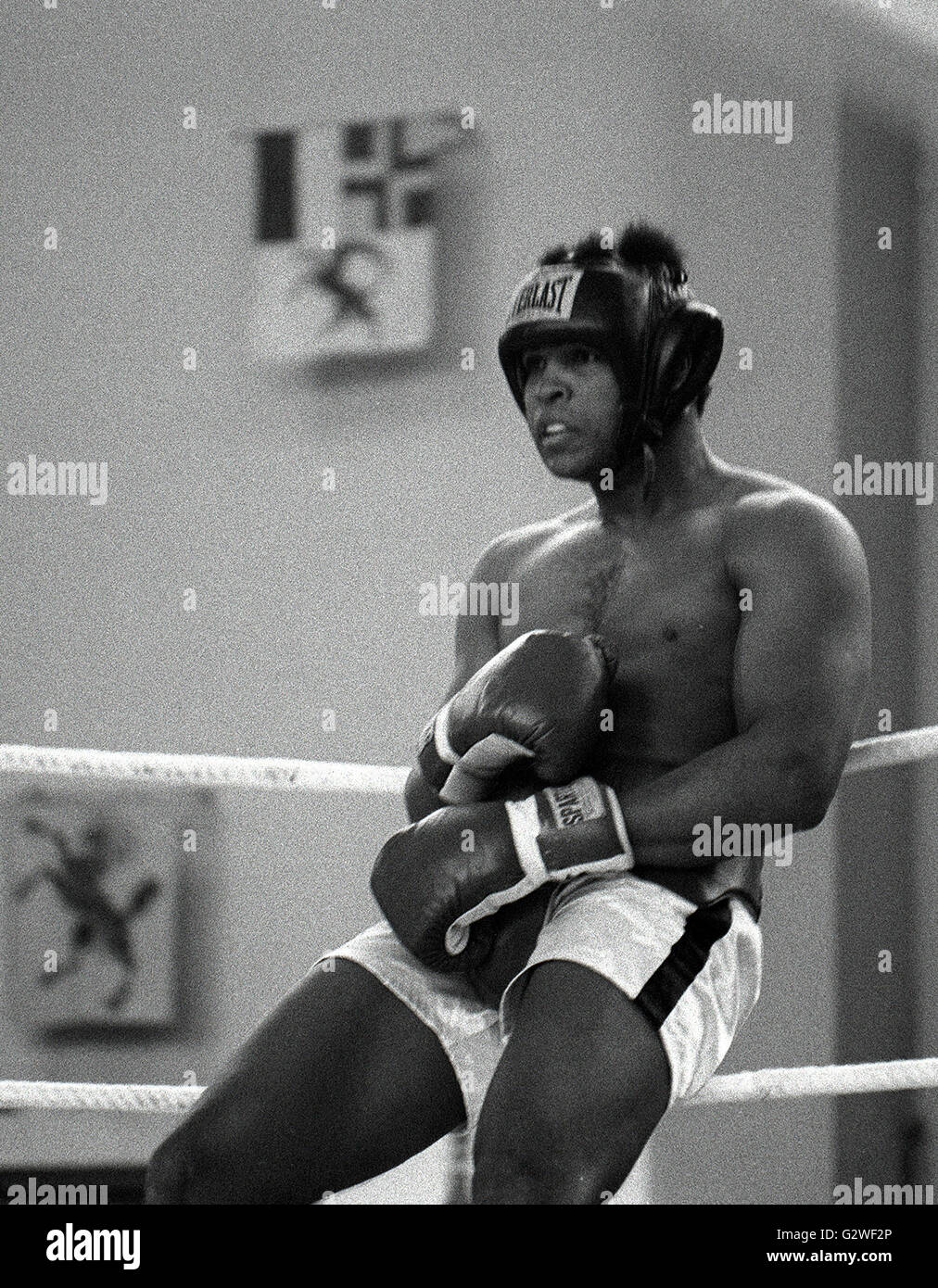 Boxer Cassio argilla, più tardi Muhammad Ali, durante la sua formazione il 26 dicembre 1971. | Utilizzo di tutto il mondo Foto Stock
