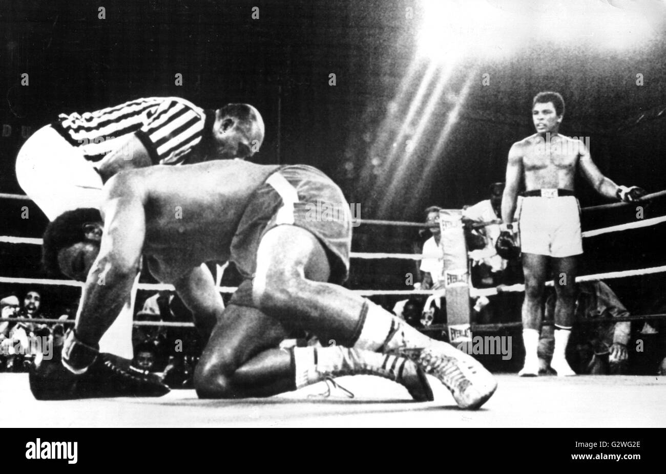 FILE - un file immagine datata 30 ottobre 1974 ci mostra a heavyweight boxer Muhammad Ali indietro (R) in piedi in un angolo come suo knock-out avversario George Foreman anteriore (L) le lotte per ottenere torna sui suoi piedi come egli viene dato il conteggio dall'arbitro nell'ottavo round della loro boxe bout in Congo, a Kinshasa, 30 ottobre 1974. Nato Cassio argilla, boxe leggenda Muhammad Ali, soprannominato 'il più grande, ' morì il 03 giugno 2016 a Phoenix, Arizona, Stati Uniti d'America, all'età di 74, una famiglia portavoce ha detto. Foto: dpa Foto Stock