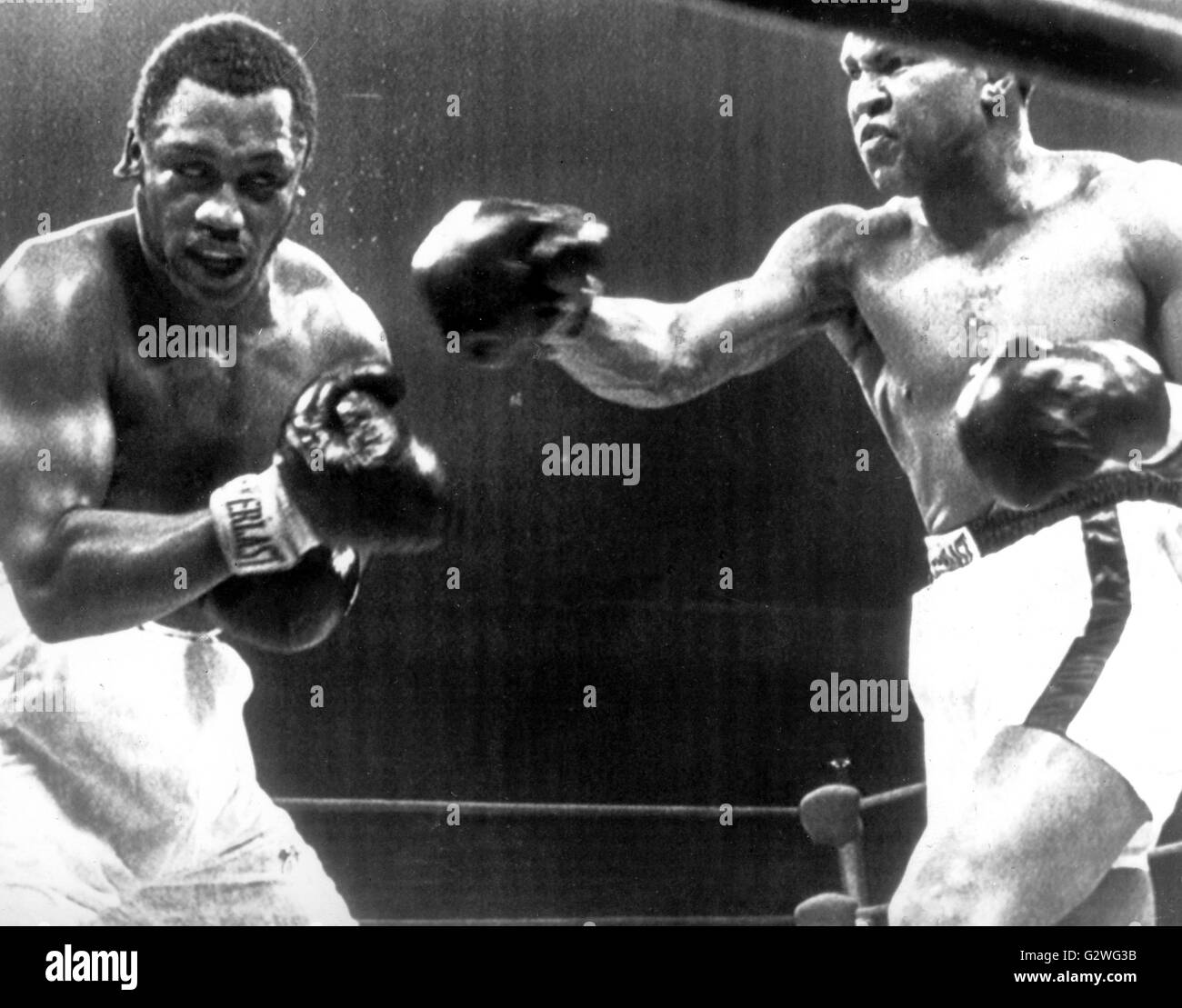 FILE - un file immagine datata 29 gennaio 1974 ci mostra a heavyweight boxer Muhammad Ali (R) e il suo avversario Joe Frazier (L) in azione durante il loro bout al Madison Square Garden di New York, Stati Uniti d'America. Nato Cassio argilla, boxe leggenda Muhammad Ali, soprannominato 'il più grande, ' morì il 03 giugno 2016 a Phoenix, Arizona, Stati Uniti d'America, all'età di 74, una famiglia portavoce ha detto. Foto: dpa Foto Stock