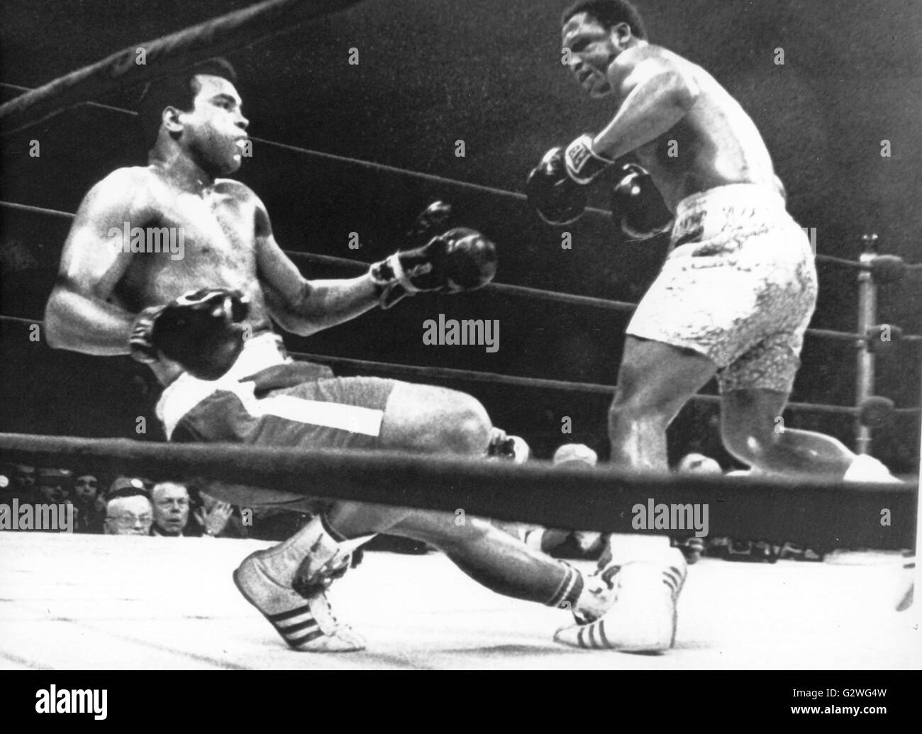 FILE - un file immagine datata 08 marzo 1971 ci mostra a heavyweight boxer Muhammad Ali (L) essendo sbalzato fuori i suoi piedi dopo aver preso un colpo in testa al suo avversario Joe Frazier (R) durante il loro bout al Madison Square Garden di New York, Stati Uniti d'America. Nato Cassio argilla, boxe leggenda Muhammad Ali, soprannominato 'il più grande, ' morì il 03 giugno 2016 a Phoenix, Arizona, Stati Uniti d'America, all'età di 74, una famiglia portavoce ha detto. Foto: dpa Foto Stock