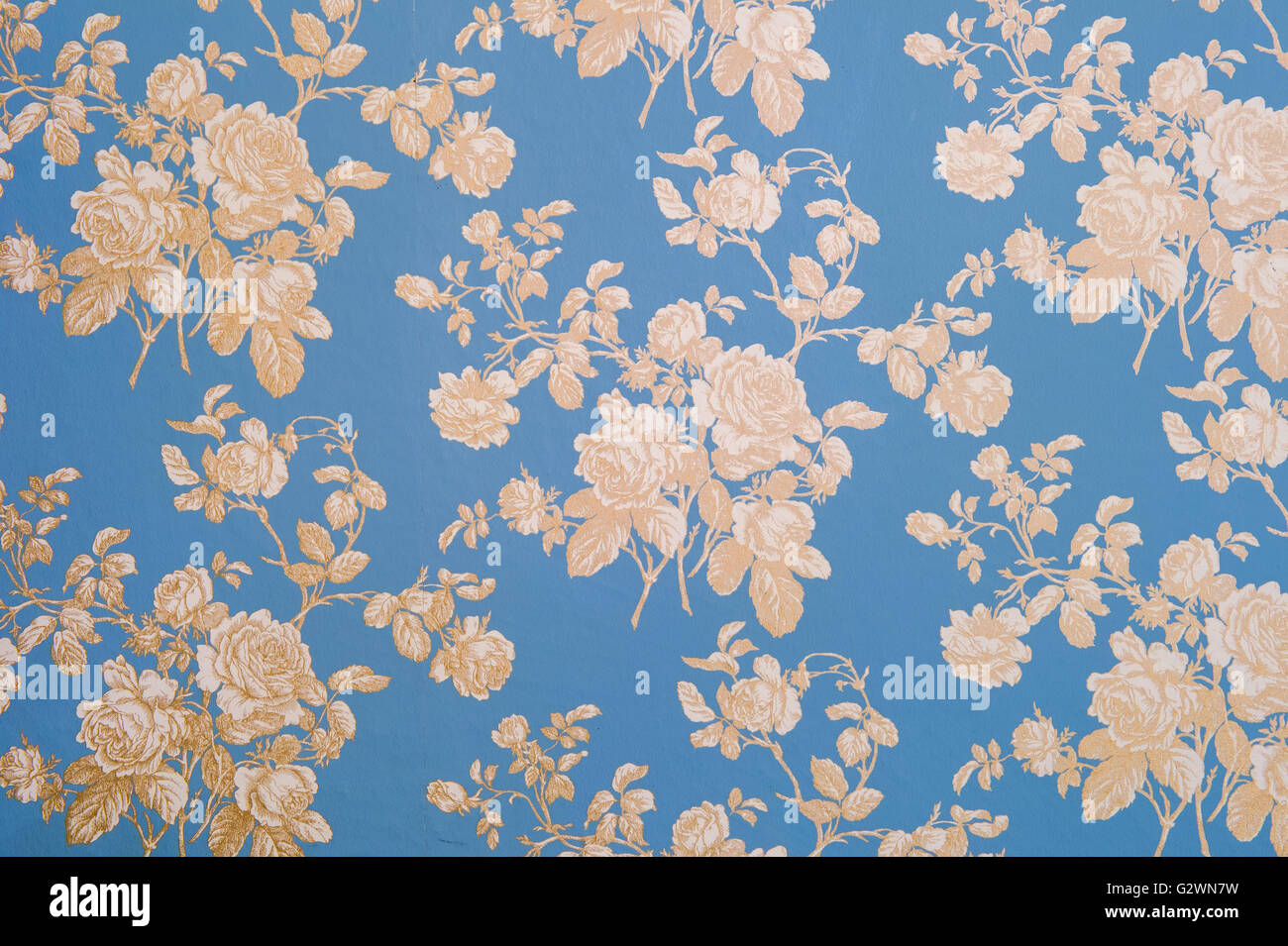 Berlino, Germania, dettaglio colpo di una carta da parati con Bluemchen Foto Stock