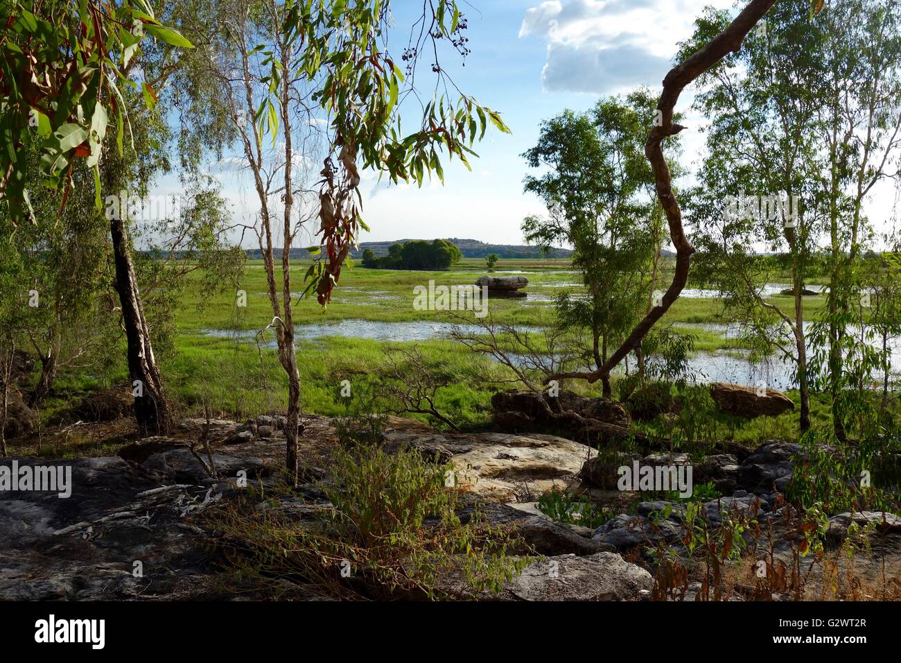 Vista di paludi e pianure alluvionali a Mount Borradaile, vicino Cooper Creek, a ovest di Arnhem Land, Territorio del Nord, l'Australia Foto Stock