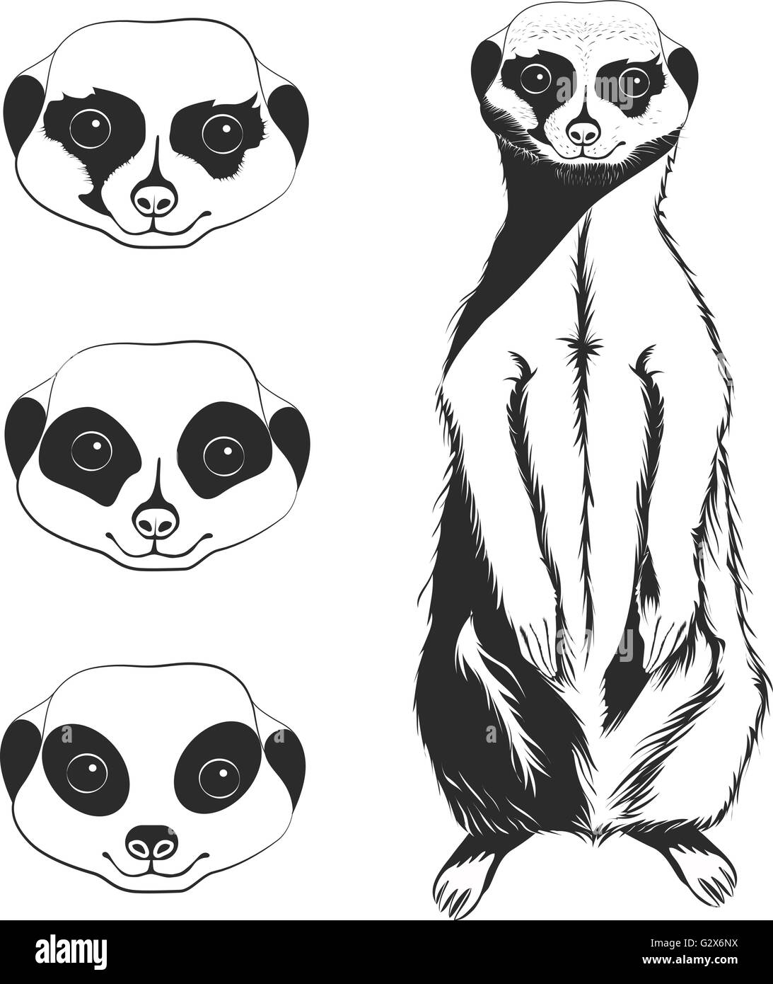 Meerkat Illustrazione Vettoriale