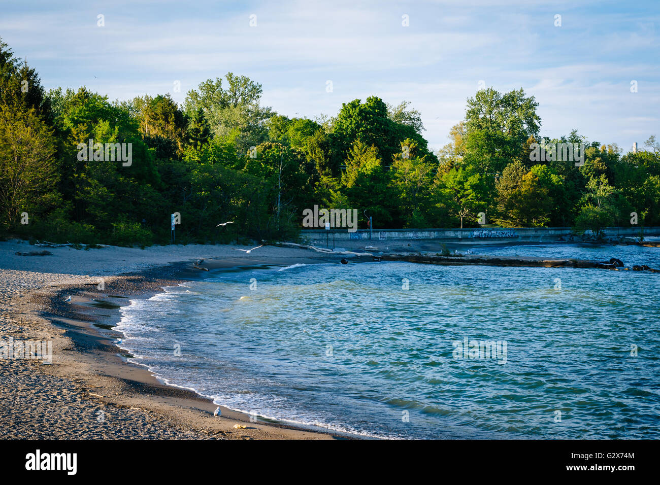 Una spiaggia al centro isola, a Toronto, Ontario. Foto Stock