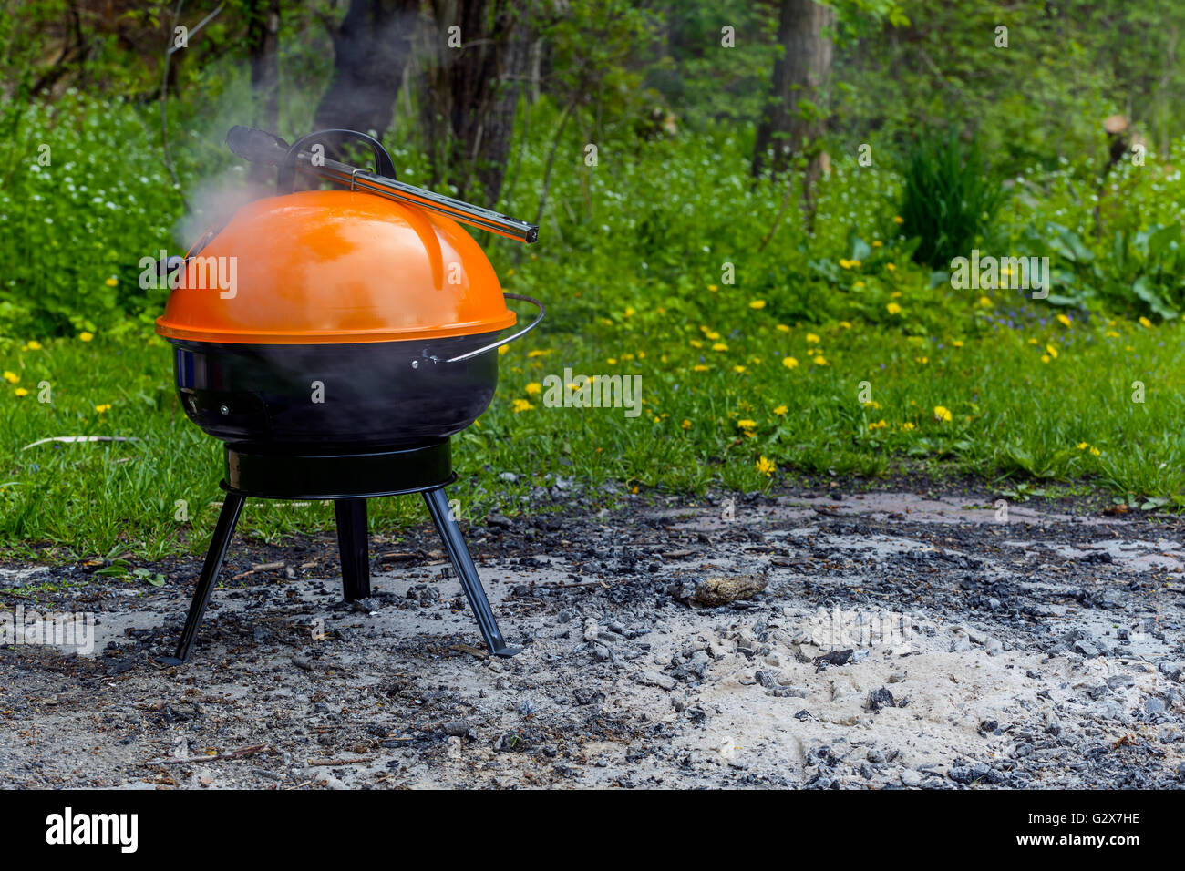 Griglia del barbecue Foto Stock