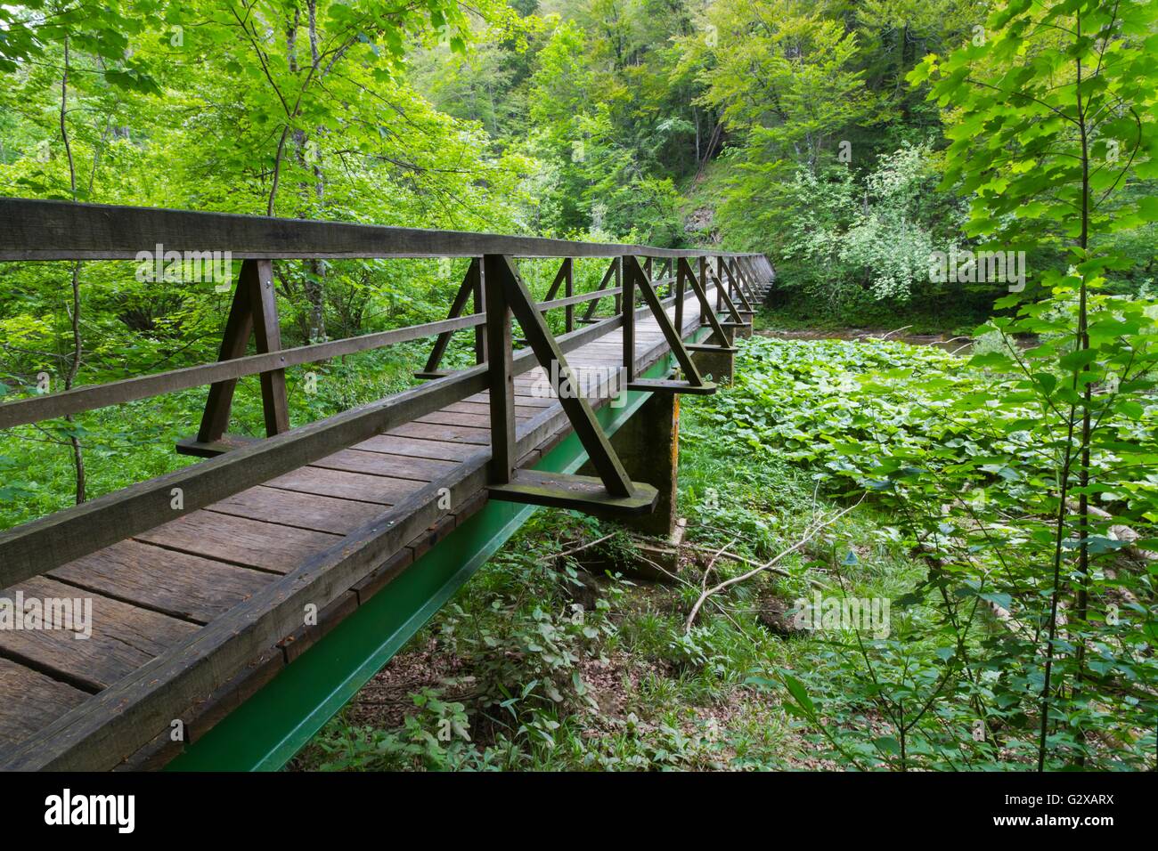 Ponte di Legno passerella primavera wop natura ambiente naturale vegetazione di foresta Foto Stock