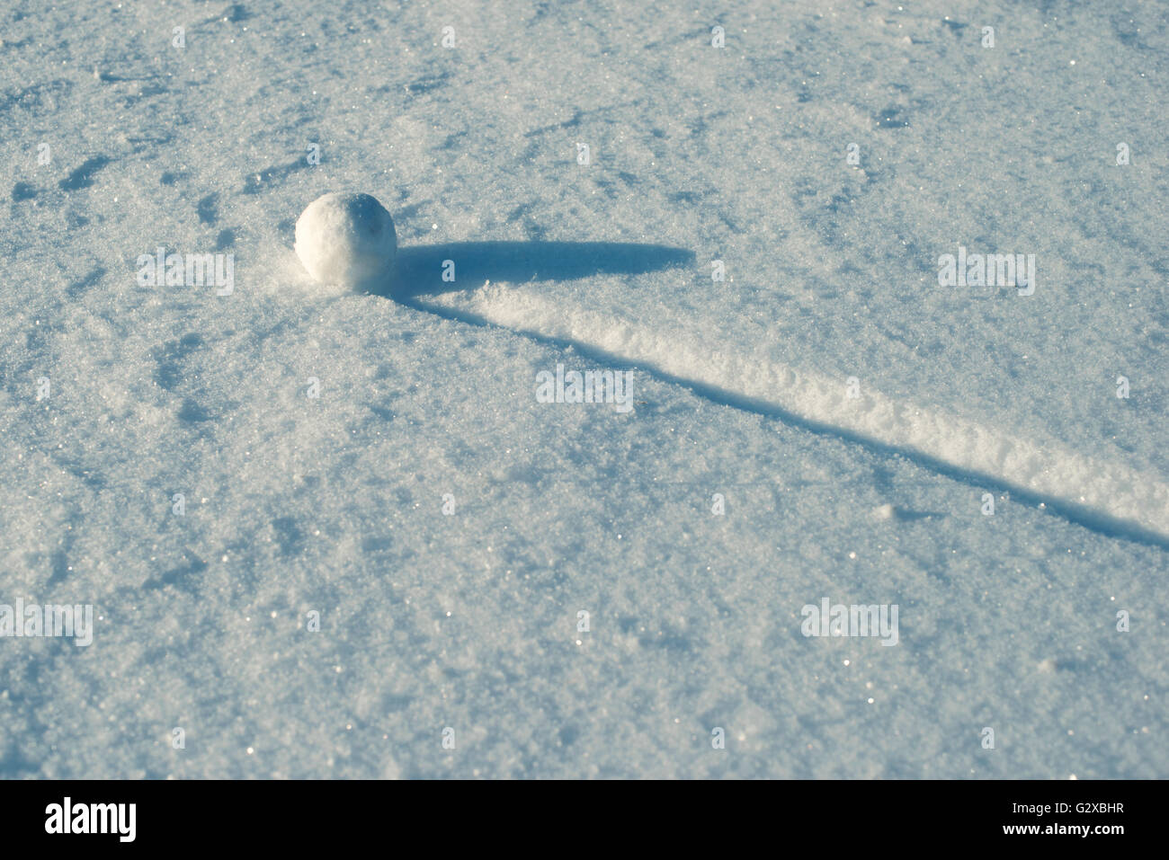 Snowball con tracciato rettilineo sulla neve fresca campo Foto Stock