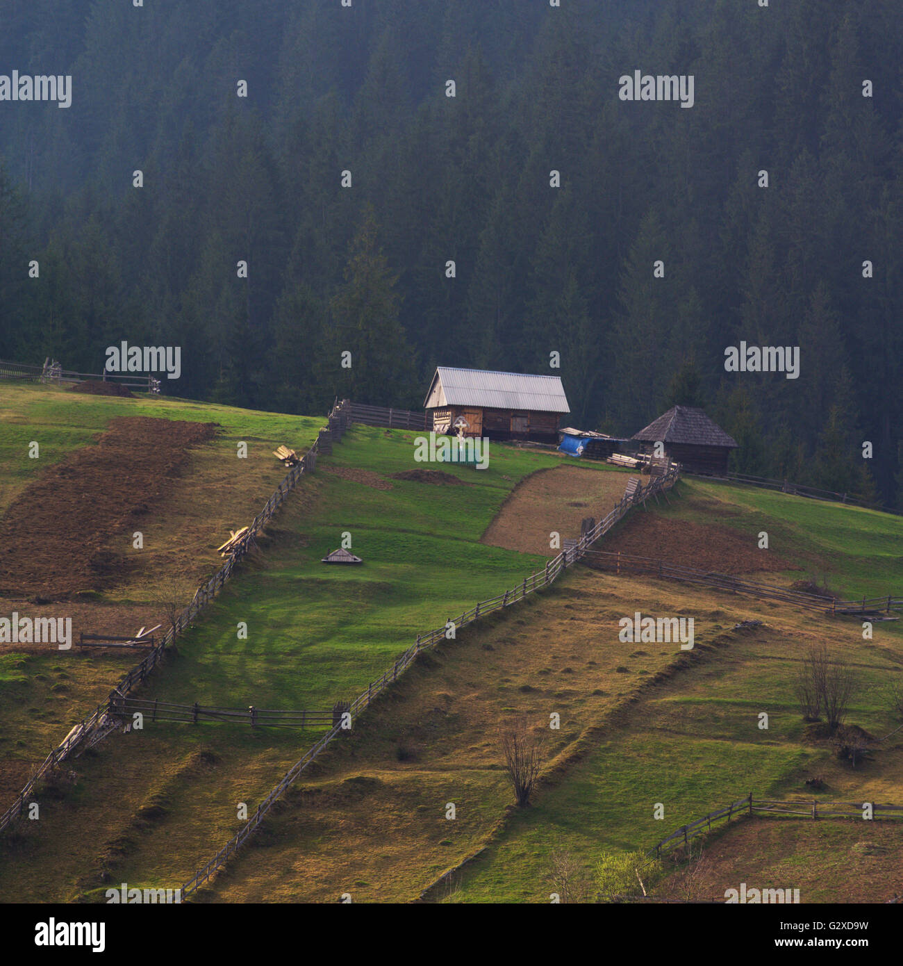 Paesaggio rurale con lonely case e montagne. La molla di Carpatian. Panorama. Foto Stock