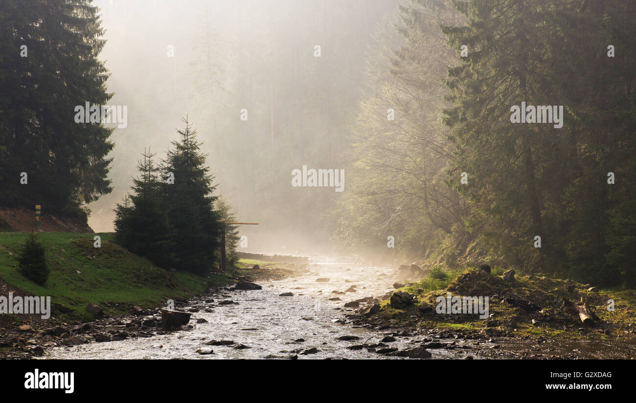 Mattina raggio di luce sul fiume. Molla Carpatian Foto Stock