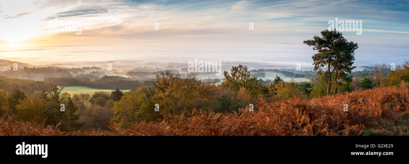 Vista panoramica a sud di Leith Hill autunno misty dawn Surrey Foto Stock