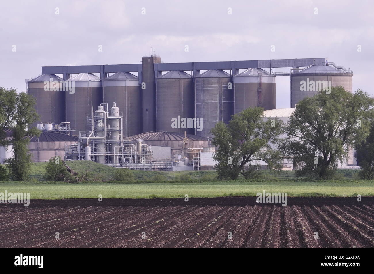 Di British Sugar Wissington fabbrica di zucchero, west Norfolk, Inghilterra, Regno Unito Foto Stock