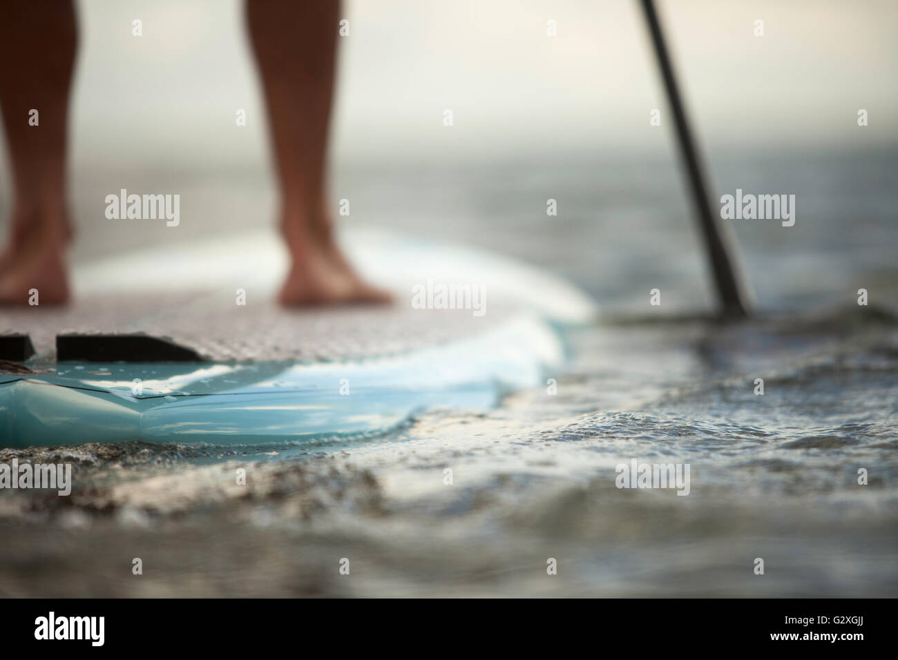 Viste dal mattino stand up paddle board session a Kaneohe Bay, Brad Osborn paddling tropicale scheda di miscele di sunrise. Foto Stock