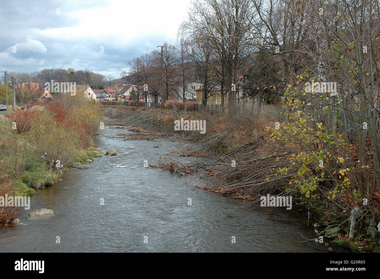 Alberi in Kamienna river in Piechowice in Polonia Foto Stock